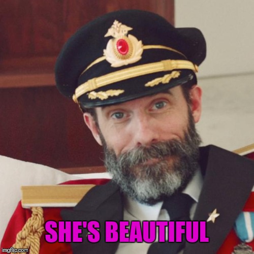Captain Obvious | SHE'S BEAUTIFUL | image tagged in captain obvious | made w/ Imgflip meme maker