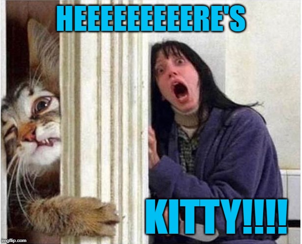 Every time you go to the bathroom...If you've ever owned a cat you know the struggle. | HEEEEEEEEERE'S; KITTY!!!! | image tagged in cats,memes,here's kitty,funny,the shining,bathroom | made w/ Imgflip meme maker
