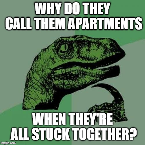 And what about townhouses that are in a rural setting? | WHY DO THEY CALL THEM APARTMENTS; WHEN THEY'RE ALL STUCK TOGETHER? | image tagged in memes,philosoraptor,apartment | made w/ Imgflip meme maker