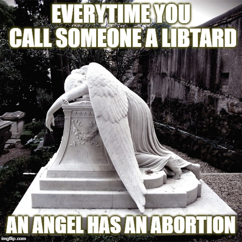 Call someone a libtard | EVERYTIME YOU CALL SOMEONE A LIBTARD; AN ANGEL HAS AN ABORTION | image tagged in libtard,angel,abortion | made w/ Imgflip meme maker
