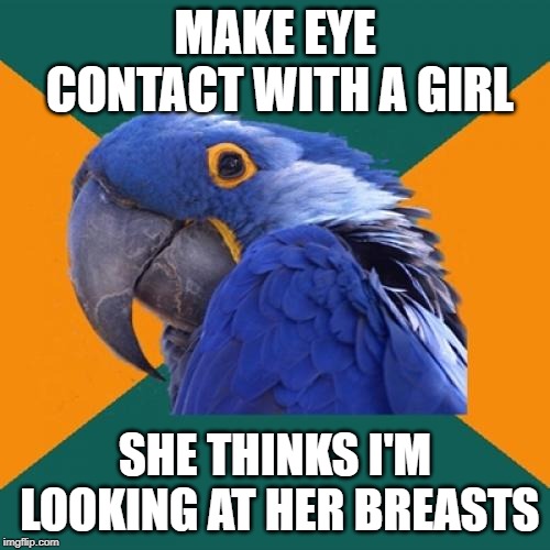 Paranoid Parrot Meme | MAKE EYE CONTACT WITH A GIRL; SHE THINKS I'M LOOKING AT HER BREASTS | image tagged in memes,paranoid parrot | made w/ Imgflip meme maker