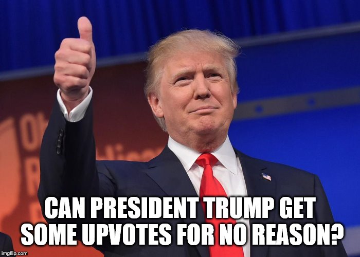 donald trump | CAN PRESIDENT TRUMP GET SOME UPVOTES FOR NO REASON? | image tagged in donald trump | made w/ Imgflip meme maker