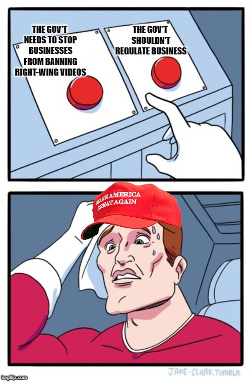 Support MAGA Cakes | THE GOV'T NEEDS TO STOP BUSINESSES FROM BANNING RIGHT-WING VIDEOS; THE GOV'T SHOULDN'T REGULATE BUSINESS | image tagged in two button maga hat,politics,funny | made w/ Imgflip meme maker