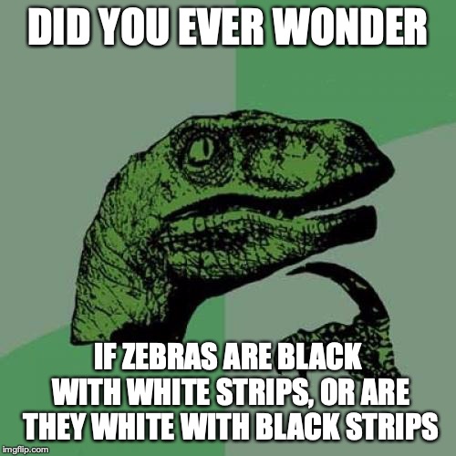 Philosoraptor | DID YOU EVER WONDER; IF ZEBRAS ARE BLACK WITH WHITE STRIPS, OR ARE THEY WHITE WITH BLACK STRIPS | image tagged in memes,philosoraptor | made w/ Imgflip meme maker
