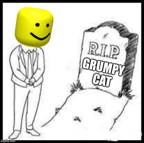 R.I.P | GRUMPY CAT | image tagged in rip | made w/ Imgflip meme maker