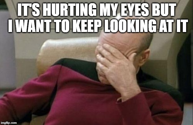 Captain Picard Facepalm Meme | IT'S HURTING MY EYES BUT I WANT TO KEEP LOOKING AT IT | image tagged in memes,captain picard facepalm | made w/ Imgflip meme maker