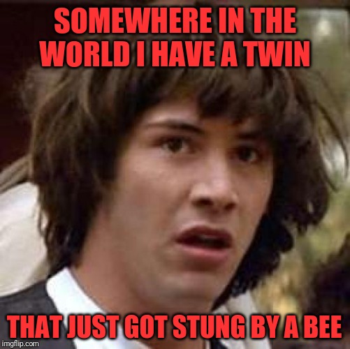 You ever get that feeling? | SOMEWHERE IN THE WORLD I HAVE A TWIN; THAT JUST GOT STUNG BY A BEE | image tagged in memes,conspiracy keanu,weird pain,skunkdynamite,wtf | made w/ Imgflip meme maker