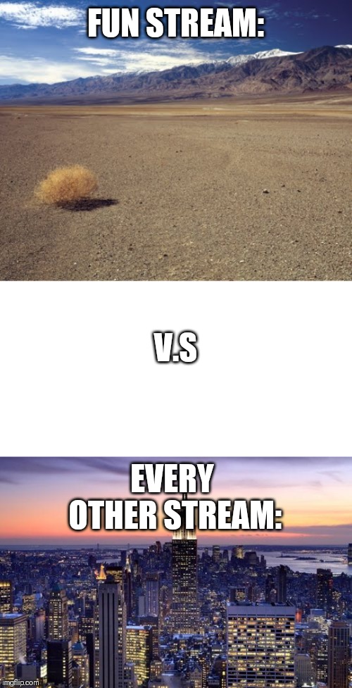 FUN STREAM:; V.S; EVERY OTHER STREAM: | image tagged in new york city,futuristic city,desert tumbleweed | made w/ Imgflip meme maker