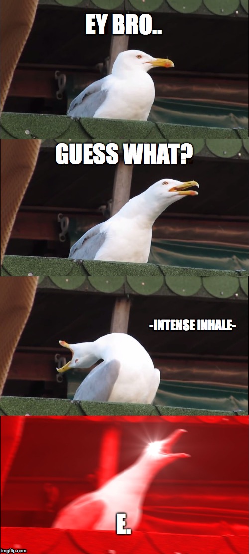 Inhaling Seagull Meme | EY BRO.. GUESS WHAT? -INTENSE INHALE-; E. | image tagged in memes,inhaling seagull | made w/ Imgflip meme maker