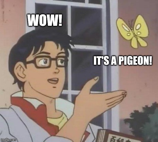 Is This A Pigeon | WOW! IT'S A PIGEON! | image tagged in memes,is this a pigeon | made w/ Imgflip meme maker