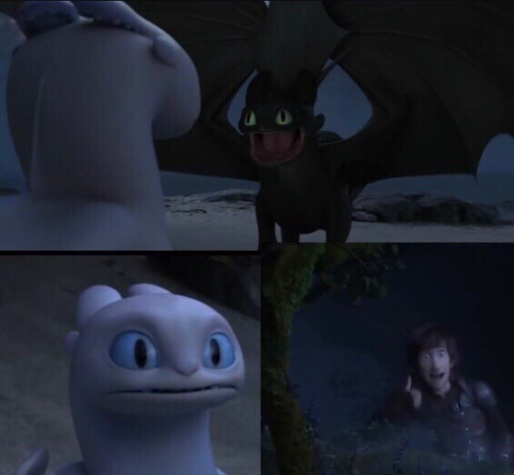How to train your dragon 3 Blank Meme Template