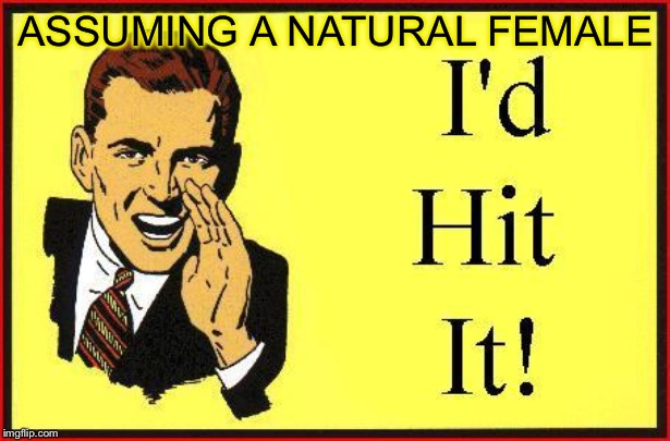 I’d Hit It ! | ASSUMING A NATURAL FEMALE | image tagged in id hit it | made w/ Imgflip meme maker