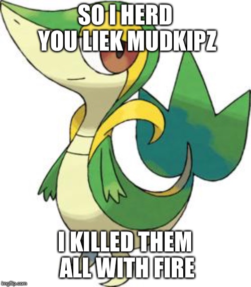 smugleaf | SO I HERD YOU LIEK MUDKIPZ; I KILLED THEM ALL WITH FIRE | image tagged in smugleaf | made w/ Imgflip meme maker