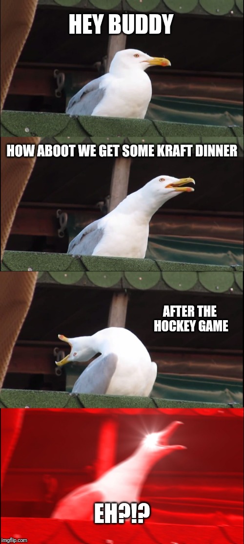 Canadian seagull | HEY BUDDY; HOW ABOOT WE GET SOME KRAFT DINNER; AFTER THE HOCKEY GAME; EH?!? | image tagged in memes,inhaling seagull,meanwhile in canada | made w/ Imgflip meme maker