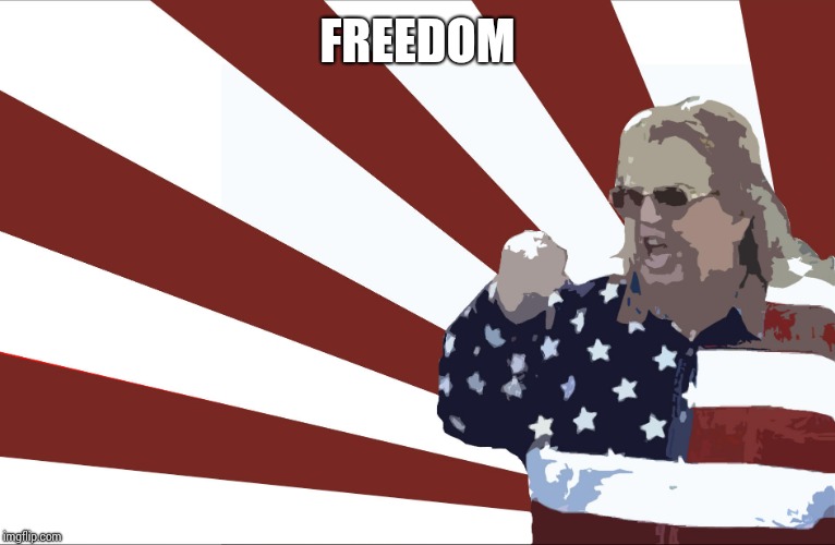 'merica | FREEDOM | image tagged in 'merica | made w/ Imgflip meme maker