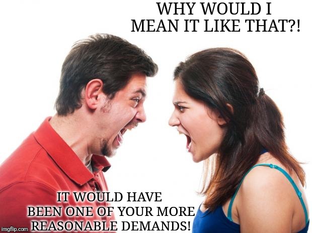 ANGRY FIGHTING MARRIED COUPLE HUSBAND & WIFE | WHY WOULD I MEAN IT LIKE THAT?! IT WOULD HAVE BEEN ONE OF YOUR MORE REASONABLE DEMANDS! | image tagged in angry fighting married couple husband  wife | made w/ Imgflip meme maker