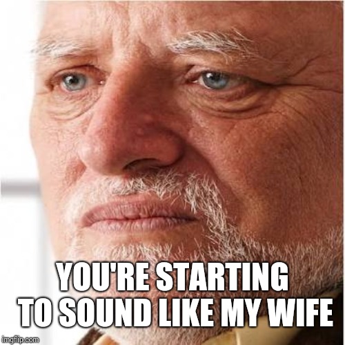 Harold sad | YOU'RE STARTING TO SOUND LIKE MY WIFE | image tagged in harold sad | made w/ Imgflip meme maker