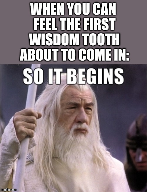 I don't think I'm ready for adulthood yet. | WHEN YOU CAN FEEL THE FIRST WISDOM TOOTH ABOUT TO COME IN: | image tagged in so it begins,wisdom,tooth,adult,oh no,memes | made w/ Imgflip meme maker