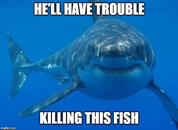 HE'LL HAVE TROUBLE KILLING THIS FISH | image tagged in straight white shark | made w/ Imgflip meme maker
