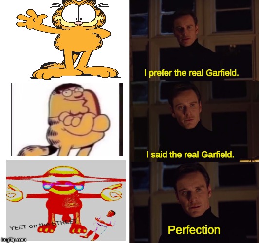 perfection | I prefer the real Garfield. I said the real Garfield. Perfection | image tagged in perfection | made w/ Imgflip meme maker
