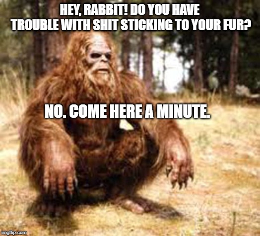Does a Bigfoot poop in the woods? | HEY, RABBIT! DO YOU HAVE TROUBLE WITH SHIT STICKING TO YOUR FUR? NO. COME HERE A MINUTE. | image tagged in chillin' bigfoot | made w/ Imgflip meme maker