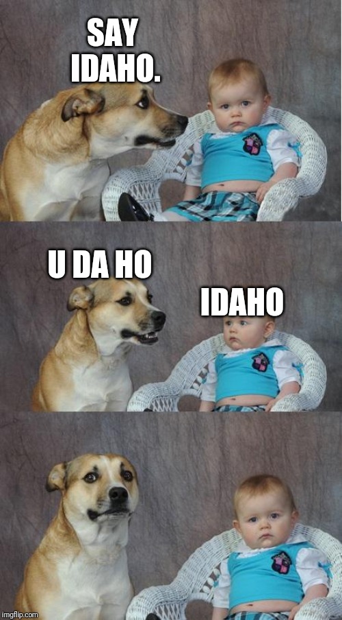 Bad joke dog | SAY IDAHO. IDAHO; U DA HO | image tagged in bad joke dog | made w/ Imgflip meme maker