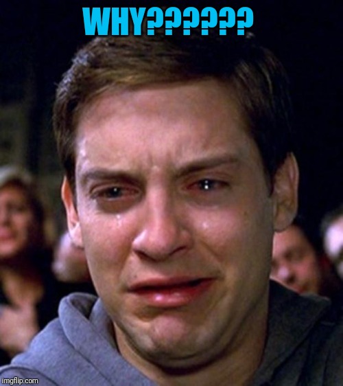 crying peter parker | WHY?????? | image tagged in crying peter parker | made w/ Imgflip meme maker