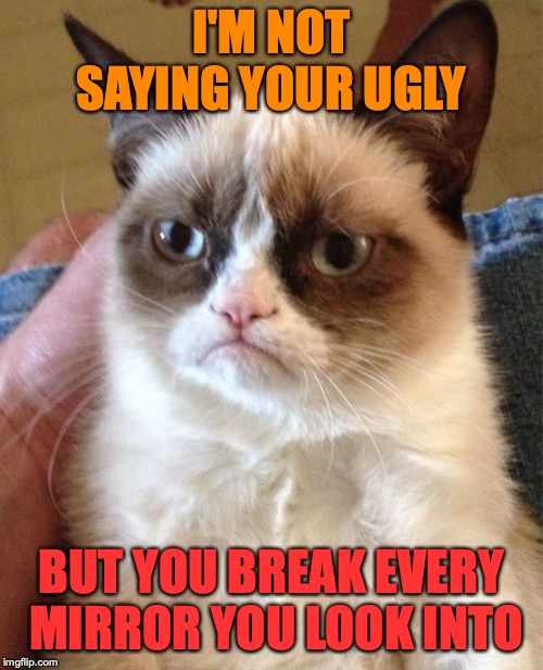 Grumpy Cat Meme | I'M NOT SAYING YOUR UGLY; BUT YOU BREAK EVERY MIRROR YOU LOOK INTO | image tagged in memes,grumpy cat | made w/ Imgflip meme maker