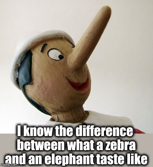 Pinnochio | I know the difference between what a zebra and an elephant taste like | image tagged in pinnochio | made w/ Imgflip meme maker