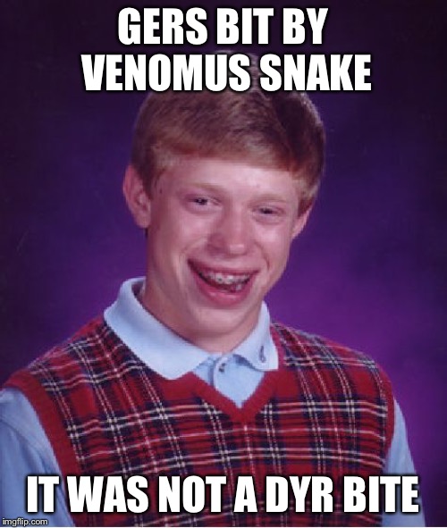 Bad Luck Brian Meme | GERS BIT BY VENOMUS SNAKE; IT WAS NOT A DYR BITE | image tagged in memes,bad luck brian | made w/ Imgflip meme maker