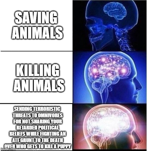 Expanding Brain | SAVING ANIMALS; KILLING ANIMALS; SENDING TERRORISTIC THREATS TO OMNIVORES FOR NOT SHARING YOUR RETARDED POLITICAL BELIEFS WHILE FIGHTING AN ATF GRUNT TO THE DEATH OVER WHO GETS TO KILL A PUPPY | image tagged in expanding brain | made w/ Imgflip meme maker