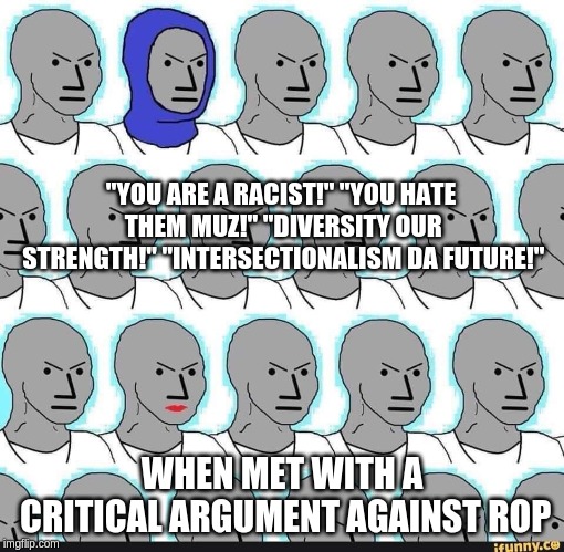 The knee jerk group reaction when you touch the new 3rd rail. | "YOU ARE A RACIST!" "YOU HATE THEM MUZ!" "DIVERSITY OUR STRENGTH!" "INTERSECTIONALISM DA FUTURE!"; WHEN MET WITH A CRITICAL ARGUMENT AGAINST ROP | image tagged in npcs with muslim woman,diversity,victims,npc | made w/ Imgflip meme maker