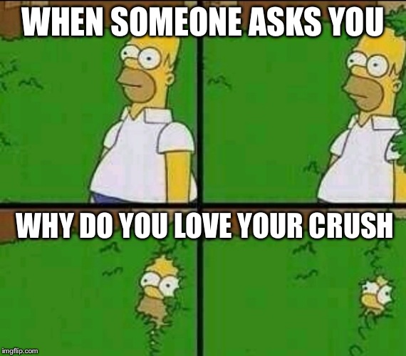 Homer Simpson Nope | WHEN SOMEONE ASKS YOU; WHY DO YOU LOVE YOUR CRUSH | image tagged in homer simpson nope | made w/ Imgflip meme maker