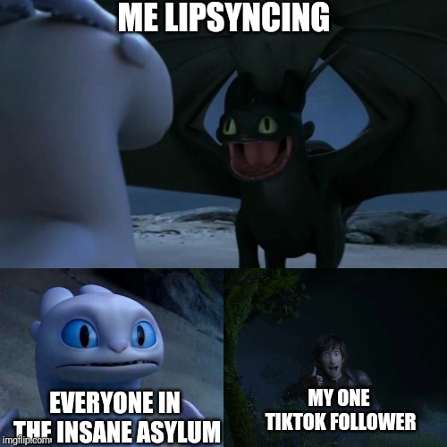 When you are addicted to Social Media | ME LIPSYNCING; EVERYONE IN THE INSANE ASYLUM; MY ONE TIKTOK FOLLOWER | image tagged in funny,tiktok,toothless,insane,bad,meme | made w/ Imgflip meme maker