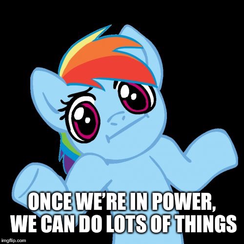 Pony Shrugs Meme | ONCE WE’RE IN POWER, WE CAN DO LOTS OF THINGS | image tagged in memes,pony shrugs | made w/ Imgflip meme maker