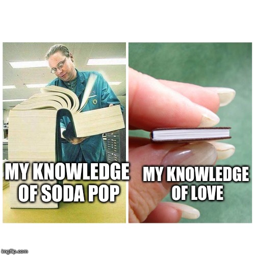 Big book vs Little Book | MY KNOWLEDGE OF LOVE; MY KNOWLEDGE OF SODA POP | image tagged in big book vs little book | made w/ Imgflip meme maker