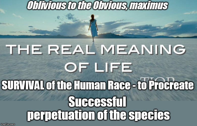 Meaning of life | Oblivious to the Obvious, maximus; SURVIVAL of the Human Race - to Procreate; Successful perpetuation of the species | image tagged in survival,oblivious,abortion,liberalism,killing fields | made w/ Imgflip meme maker
