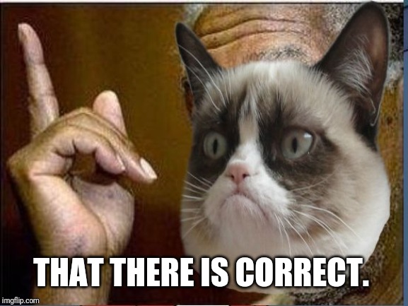 Grumpy Cat He's Right You Know | THAT THERE IS CORRECT. | image tagged in grumpy cat he's right you know | made w/ Imgflip meme maker