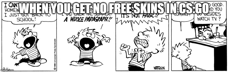 But Why Valve? | WHEN YOU GET NO FREE SKINS IN CS:GO | image tagged in calvin and hobbes,counter strike | made w/ Imgflip meme maker