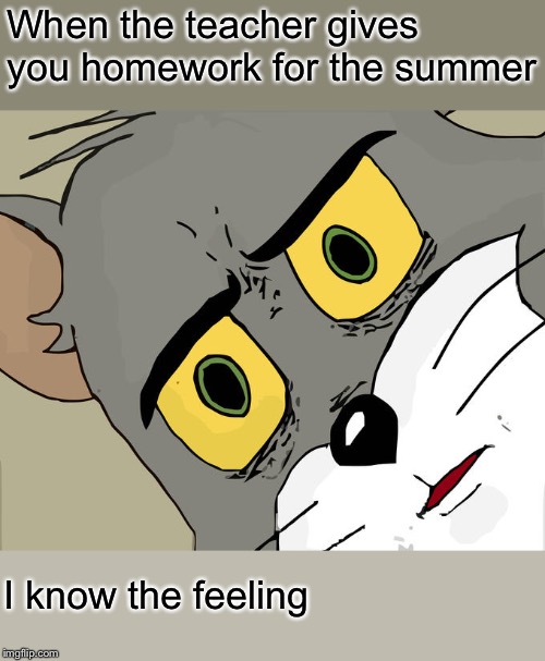 Unsettled Tom Meme | When the teacher gives you homework for the summer; I know the feeling | image tagged in memes,unsettled tom | made w/ Imgflip meme maker