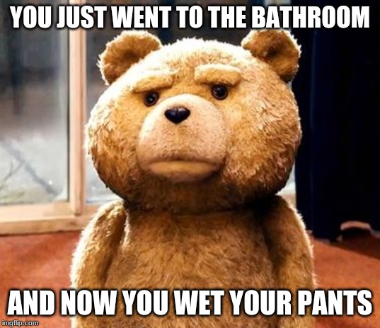 TED Meme | YOU JUST WENT TO THE BATHROOM; AND NOW YOU WET YOUR PANTS | image tagged in memes,ted | made w/ Imgflip meme maker