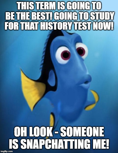 Dory | THIS TERM IS GOING TO BE THE BEST! GOING TO STUDY FOR THAT HISTORY TEST NOW! OH LOOK - SOMEONE IS SNAPCHATTING ME! | image tagged in dory | made w/ Imgflip meme maker