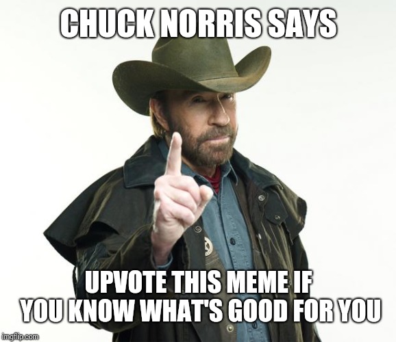 Chuck Norris Finger | CHUCK NORRIS SAYS; UPVOTE THIS MEME IF YOU KNOW WHAT'S GOOD FOR YOU | image tagged in memes,chuck norris finger,chuck norris | made w/ Imgflip meme maker