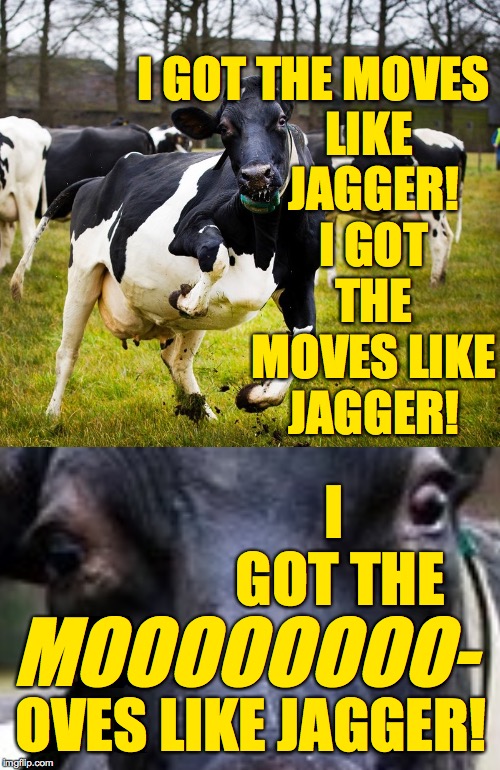 Send to your crush.  Then apologize for accidental Send.  Later you can name your first child after me  ( : | LIKE JAGGER! I GOT THE MOVES LIKE JAGGER! I GOT THE MOVES; I GOT THE; MOOOOOOOO-; OVES LIKE JAGGER! | image tagged in memes,dancing cow,mick jagger,memes in action,maroon 5,love clinic | made w/ Imgflip meme maker