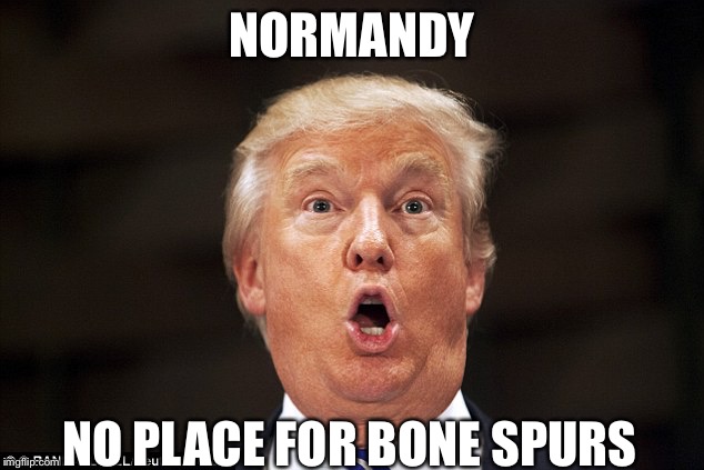 Trump stupid face | NORMANDY; NO PLACE FOR BONE SPURS | image tagged in trump stupid face | made w/ Imgflip meme maker