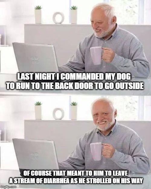 Run Rover Run | LAST NIGHT I COMMANDED MY DOG TO RUN TO THE BACK DOOR TO GO OUTSIDE; OF COURSE THAT MEANT TO HIM TO LEAVE A STREAM OF DIARRHEA AS HE STROLLED ON HIS WAY | image tagged in memes,hide the pain harold | made w/ Imgflip meme maker