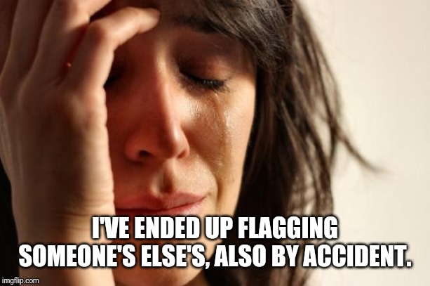 First World Problems Meme | I'VE ENDED UP FLAGGING SOMEONE'S ELSE'S, ALSO BY ACCIDENT. | image tagged in memes,first world problems | made w/ Imgflip meme maker