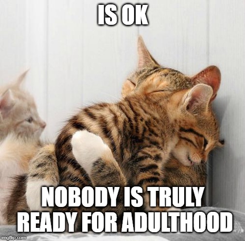 Consoling Kittens | IS OK NOBODY IS TRULY READY FOR ADULTHOOD | image tagged in consoling kittens | made w/ Imgflip meme maker