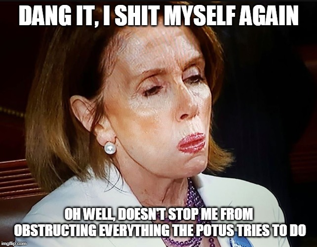 Nancy Pelosi PB Sandwich | DANG IT, I SHIT MYSELF AGAIN; OH WELL, DOESN'T STOP ME FROM OBSTRUCTING EVERYTHING THE POTUS TRIES TO DO | image tagged in nancy pelosi pb sandwich | made w/ Imgflip meme maker
