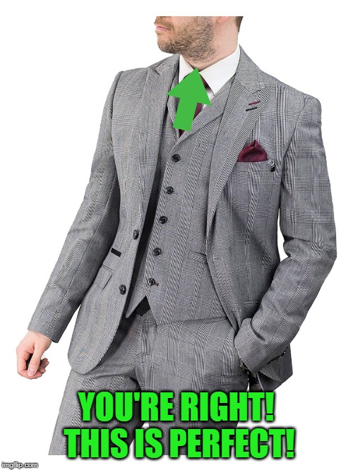 sharp dressed man | YOU'RE RIGHT! THIS IS PERFECT! | image tagged in sharp dressed man | made w/ Imgflip meme maker